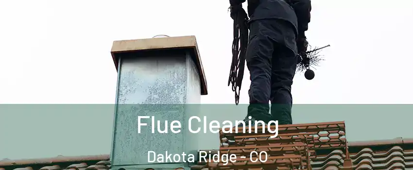  Flue Cleaning Dakota Ridge - CO