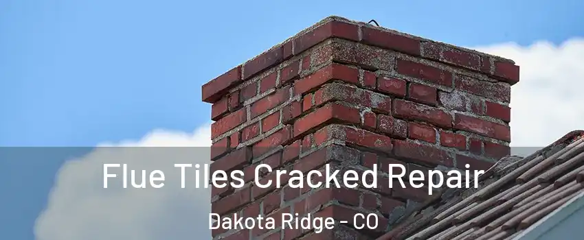  Flue Tiles Cracked Repair Dakota Ridge - CO