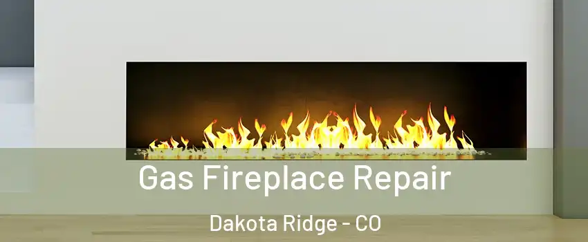 Gas Fireplace Repair Dakota Ridge - CO