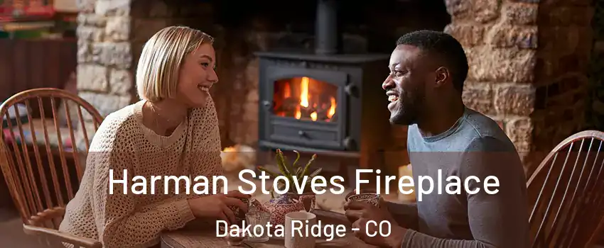  Harman Stoves Fireplace Dakota Ridge - CO