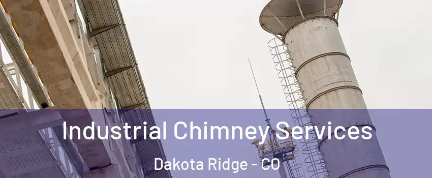  Industrial Chimney Services Dakota Ridge - CO