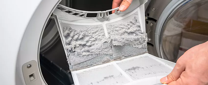 Best Dryer Lint Removal Company in Dakota Ridge, Colorado