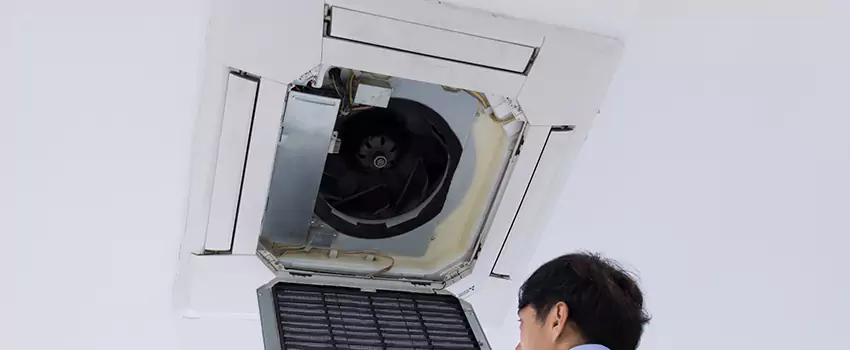 Benefits of Professional Air Duct Cleaning in Dakota Ridge, Colorado