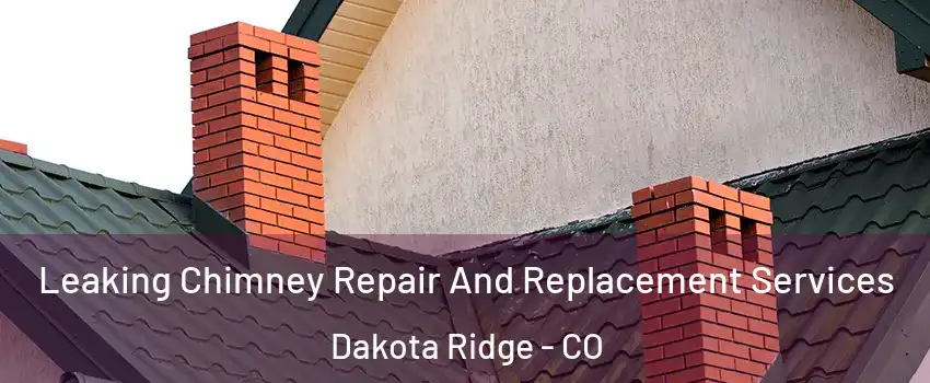  Leaking Chimney Repair And Replacement Services Dakota Ridge - CO