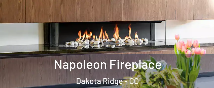  Napoleon Fireplace Dakota Ridge - CO