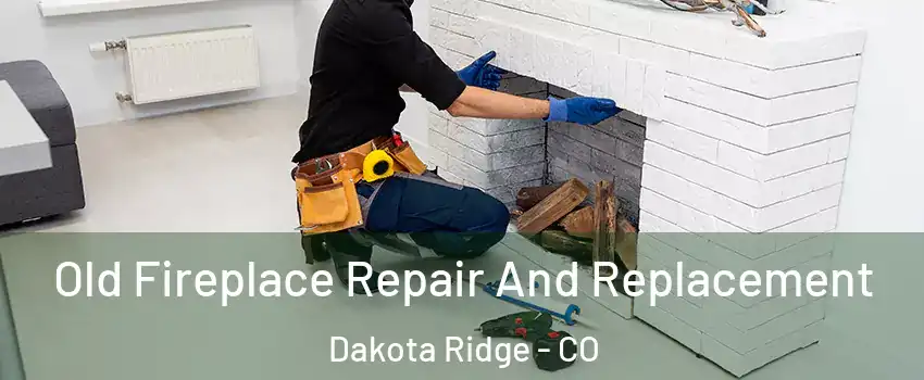  Old Fireplace Repair And Replacement Dakota Ridge - CO