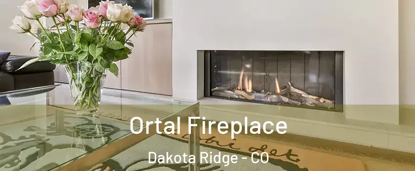  Ortal Fireplace Dakota Ridge - CO