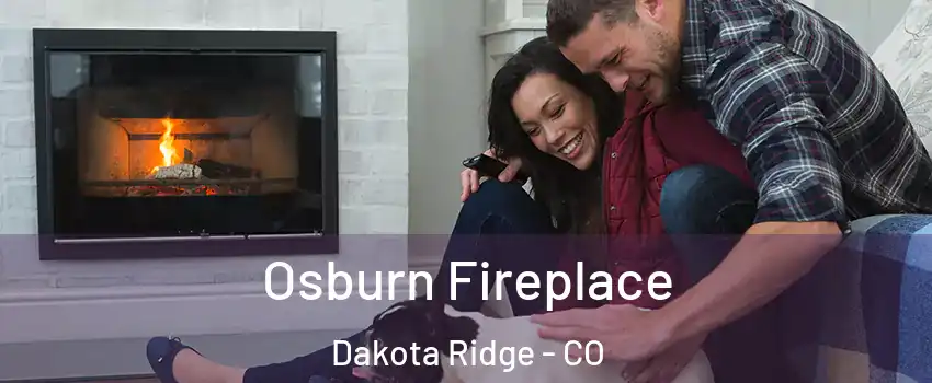  Osburn Fireplace Dakota Ridge - CO