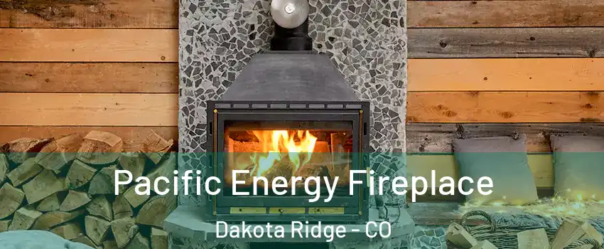  Pacific Energy Fireplace Dakota Ridge - CO
