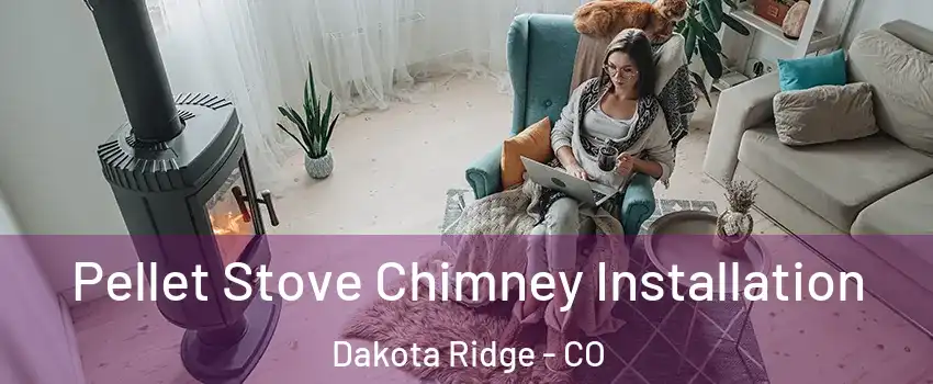  Pellet Stove Chimney Installation Dakota Ridge - CO