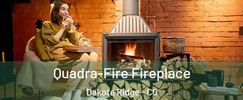  Quadra-Fire Fireplace Dakota Ridge - CO