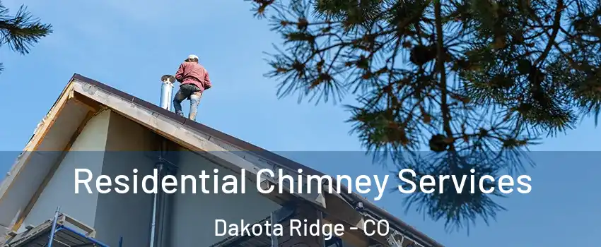  Residential Chimney Services Dakota Ridge - CO