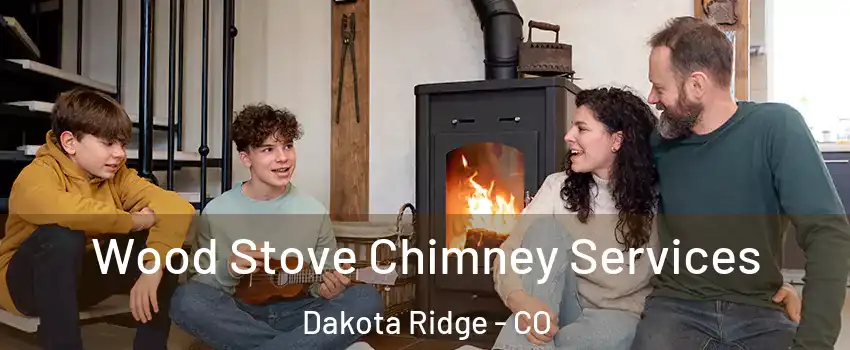  Wood Stove Chimney Services Dakota Ridge - CO